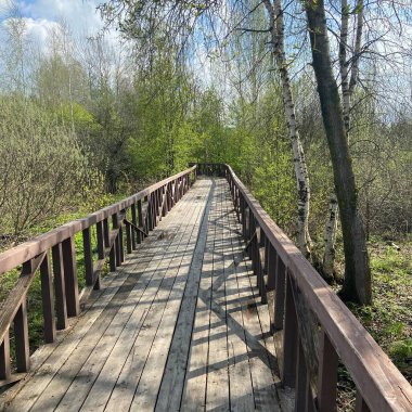 Bahar parkındaki tahta köprü.