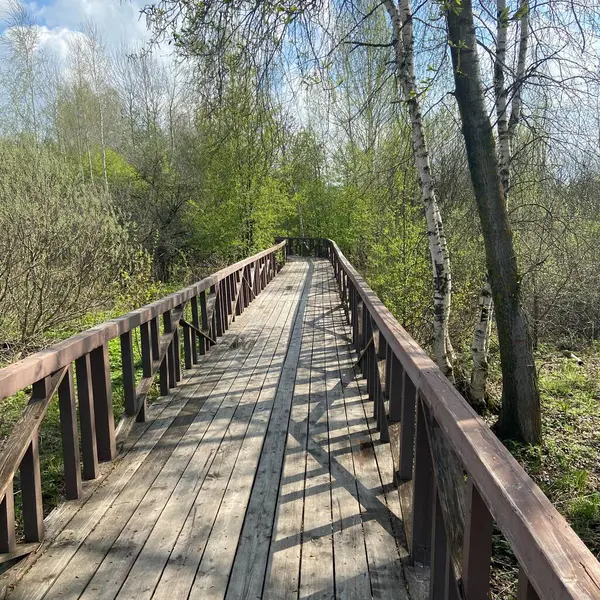 Bahar parkındaki tahta köprü.