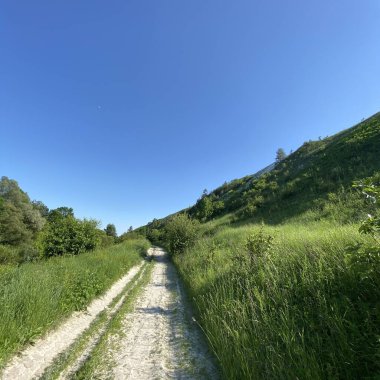Yeşil çimlerin arasındaki eski tarla yolu