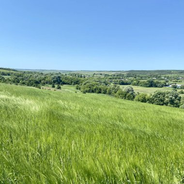 Tarlaların ve ormanların tepe manzarası