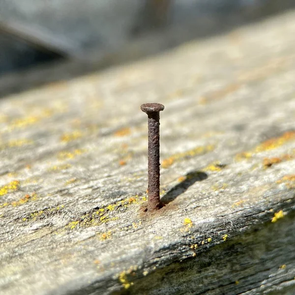 Ein Alter Rostiger Nagel Der Ein Holzbrett Getrieben Wurde — Stockfoto