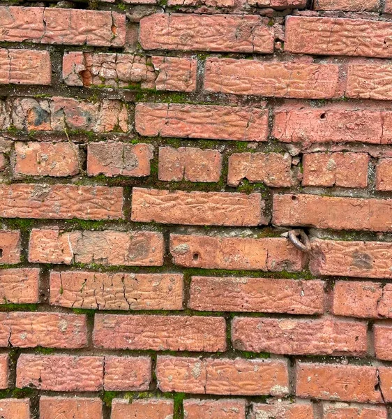 eski tuğla duvar yosun kaplı