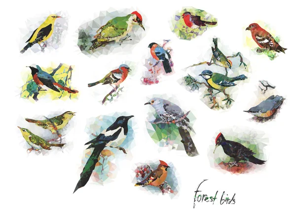Bassa raccolta poli di uccelli della foresta — Vettoriale Stock