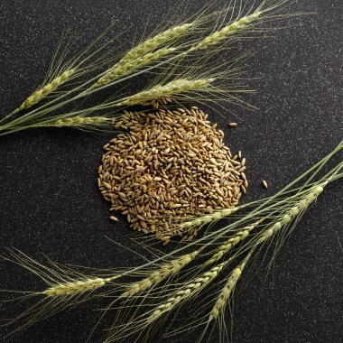 Kulakları ve çavdar karanlık bir Seramik Karo üzerinde yalan