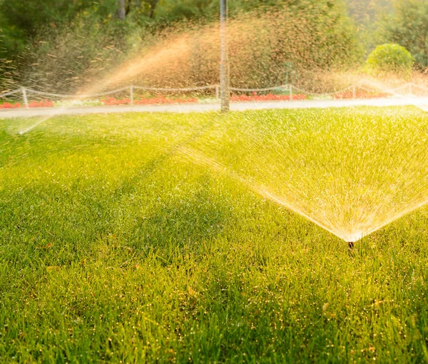 Irrigazione prati nel parco — Foto Stock