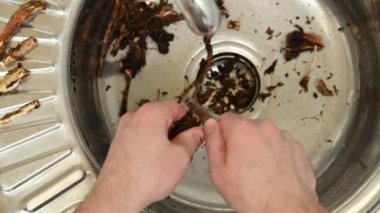 Kahveye sağlıklı bir alternatif. Erkek eller mutfaktaki metal bir lavaboda hindiba köklerini temizlemek için bıçak kullanır. Çevre yemeği. Üst görünüm