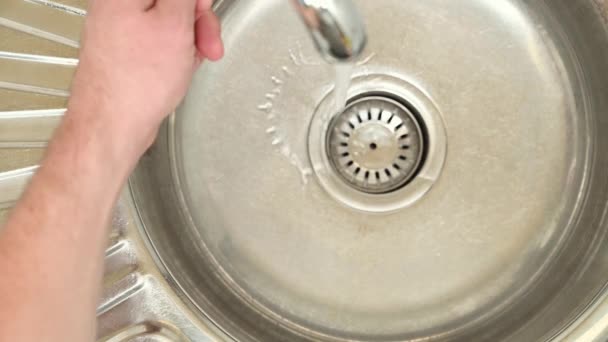 Een Gezond Alternatief Voor Koffie Mannelijke Handen Wassen Cichorei Wortels — Stockvideo