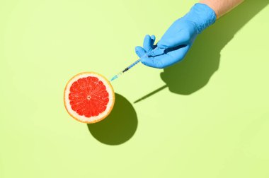 Coronavirus aşısı yaratıcı konsepti. Greyfurta enjekte edilen COVID-19 aşısı için şırınga tutan tıbbi eldiven verin. Pastel yeşil arkaplanda uçan nesneler