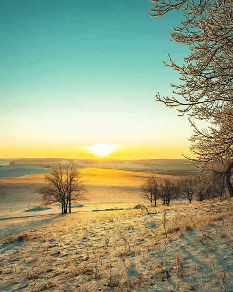 Zimní Krajina Siluety Stromy Hoarfrost Pozadí Západu Slunce — Stock fotografie