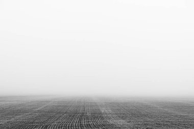 Siste tarımsal alan. Minimum bileşim, monokrom görüntü. Metin için yer