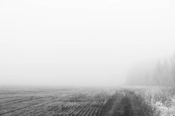Champ Agricole Dans Brouillard Composition Minimale Image Monochrome Place Pour — Photo