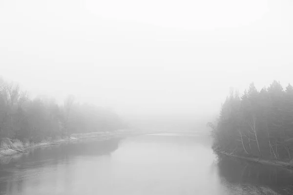 Rio Cercado Por Floresta Durante Nevoeiro Composição Mínima Imagem Monocromática — Fotografia de Stock