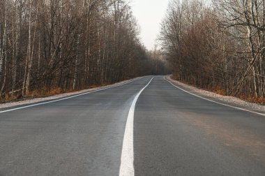 Sonbahar ormanı boyunca üzerinde işaretler olan asfalt bir yol. Yolculuk konsepti