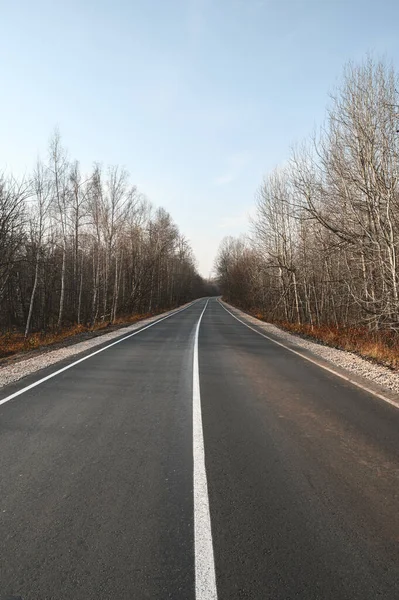 Uma forma de asfalto com marcações através da floresta de outono da manhã. Conceito de viagem — Fotografia de Stock