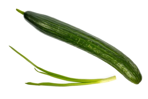 UI komkommer groenten — Stockfoto