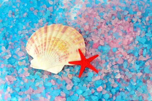Shell and star on sea salt — Stock Photo, Image