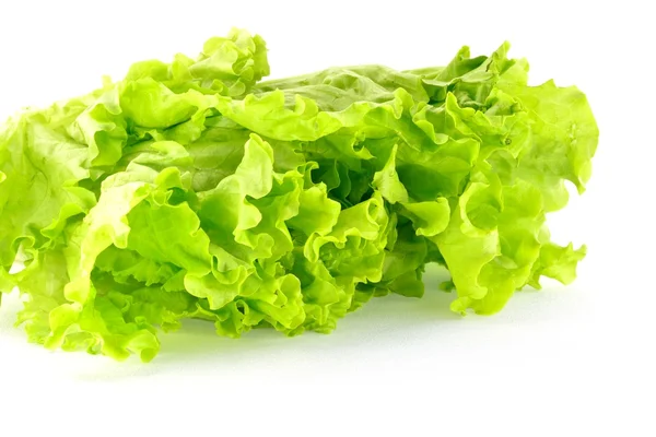 Lettuce on a white background — Stock Photo, Image