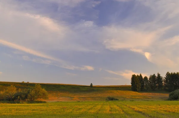 Clouds over the meadow — Stock Photo, Image