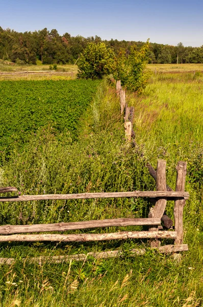 Cerca de madera vieja —  Fotos de Stock