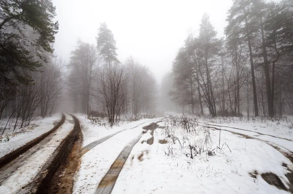 जंगलात हिवाळा रस्ता — स्टॉक फोटो, इमेज