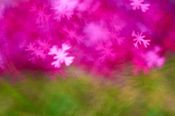 Blur pink and green — Stock Photo, Image
