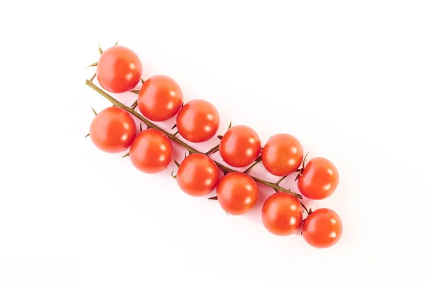 Cherry tomatoes on the branch — Stock Photo, Image