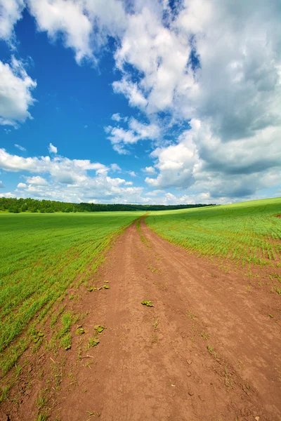 De weg naar het veld tegen de blauwe hemel met wolken — Stockfoto