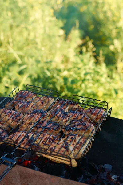Skewers of chicken on the grill — 图库照片