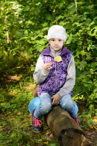 Bambino seduto su un albero caduto — Foto Stock