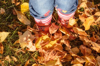 Sarı düşen yapraklar arasında çocuğun bacakları