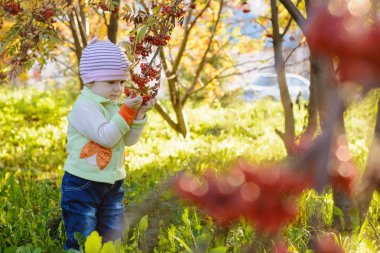 Küçük çocuk parkta bir dağ kül olur