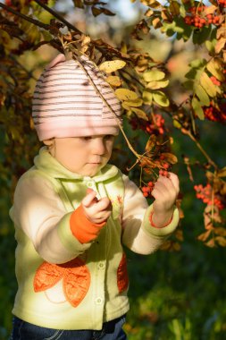 Küçük çocuk parkta bir dağ kül olur
