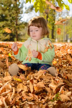 Küçük çocuk çiçek yatak Park çevresinde