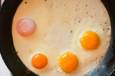 Noel süslemeleri ile oynayan kedi