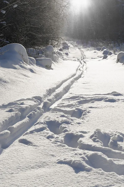 Trace une paire de skis sur la neige — Photo