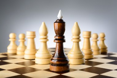 Satranç figürleri Kral, filler, kaleler ve piyonlar kama vardır