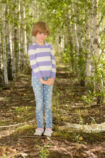 Ragazza in un boschetto di betulle — Foto Stock