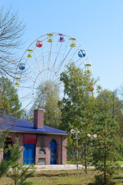 Parktaki dönme dolap.