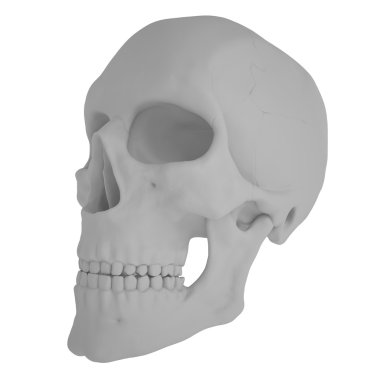 Scull2