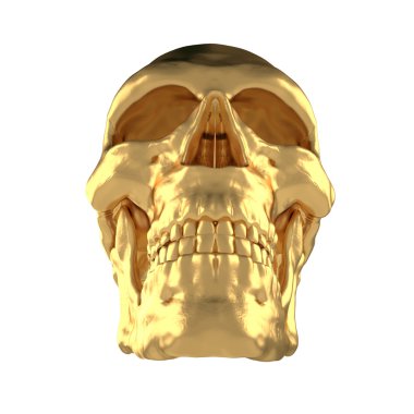 Anatomik insanlar Scull31