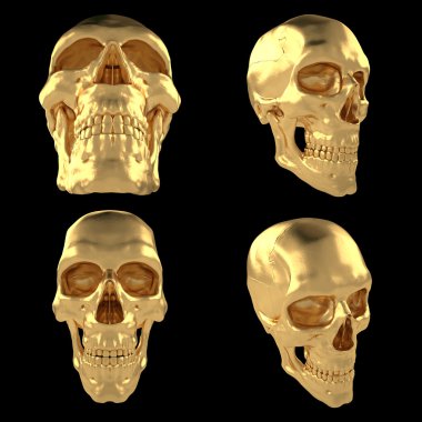 Anatomik insan scull24