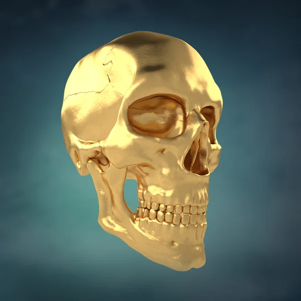 Humanos anatómicos Scull31 — Foto de Stock