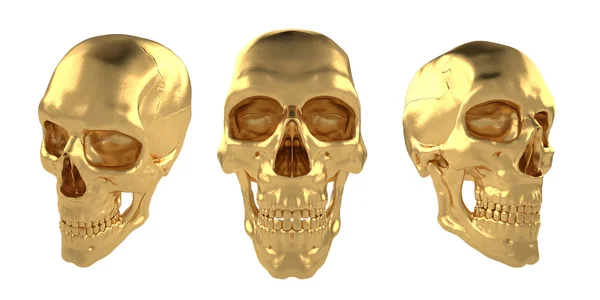 Anatomische Menschen scull31 — Stockfoto