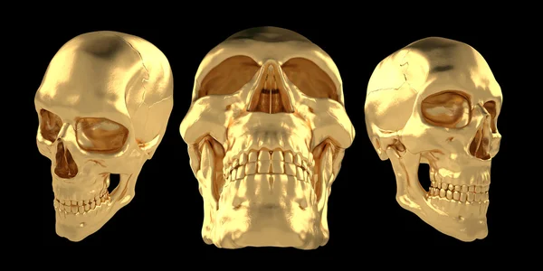 Anatomische Menschen scull31 — Stockfoto