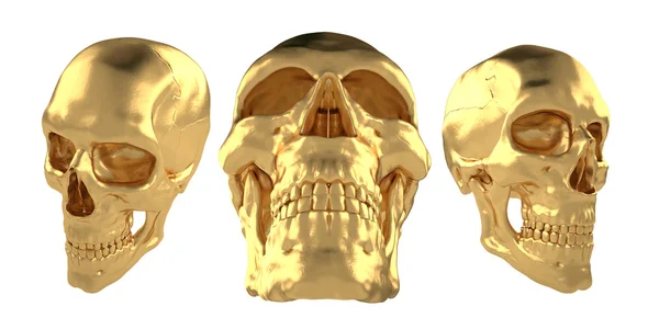 Anatomische Menschen scull31 — Stockfoto