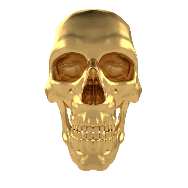 Humanos anatómicos Scull31 — Foto de Stock