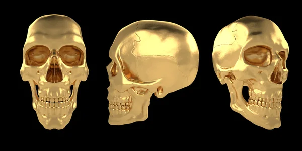 Anatomischer menschlicher Schädel 24 — Stockfoto