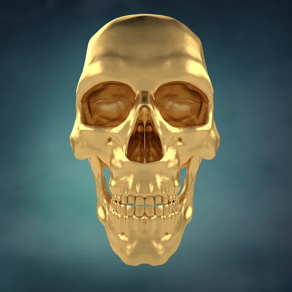 Humanos anatómicos Scull31 — Foto de Stock