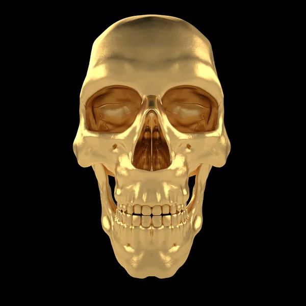 Scull24 humano anatómico — Foto de Stock