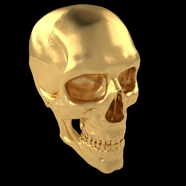 Anatomische menselijke scull24 — Stockfoto